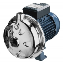 CDX.jpg